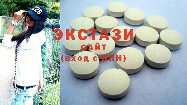 индика Надым
