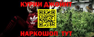 PSILOCYBIN Ирбит