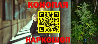 PSILOCYBIN Ирбит