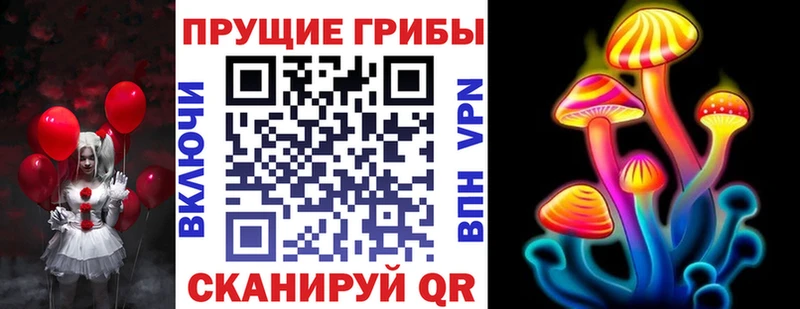 Псилоцибиновые грибы Psilocybe  как найти закладки  Киреевск 