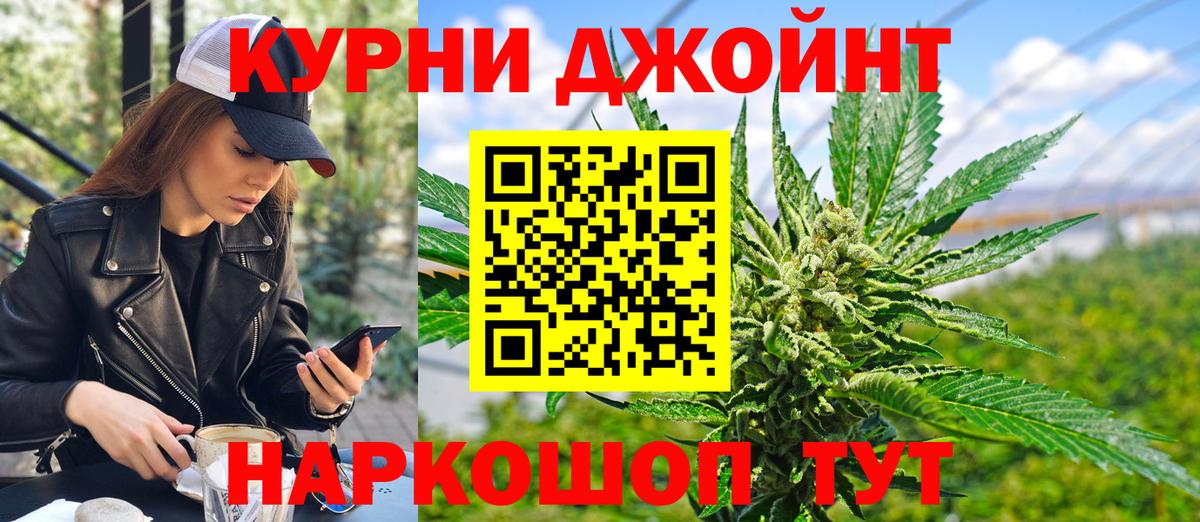 Бошки Шишки планчик  Каннабис семена  Вход с VPN  Киреевск 